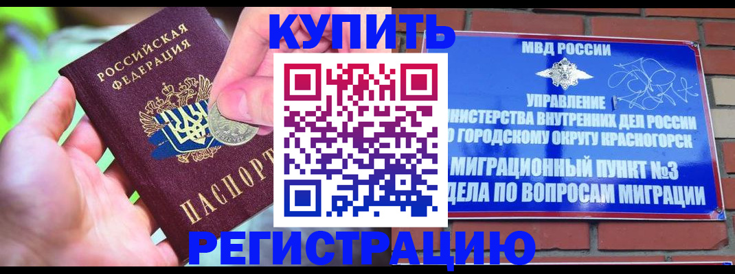 прописка законно в Оленегорске